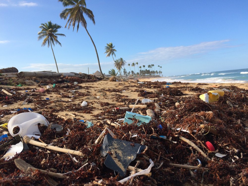 Image of a beach full of garbage.